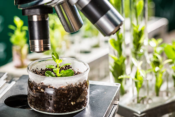 Plant Breeder/Geneticist