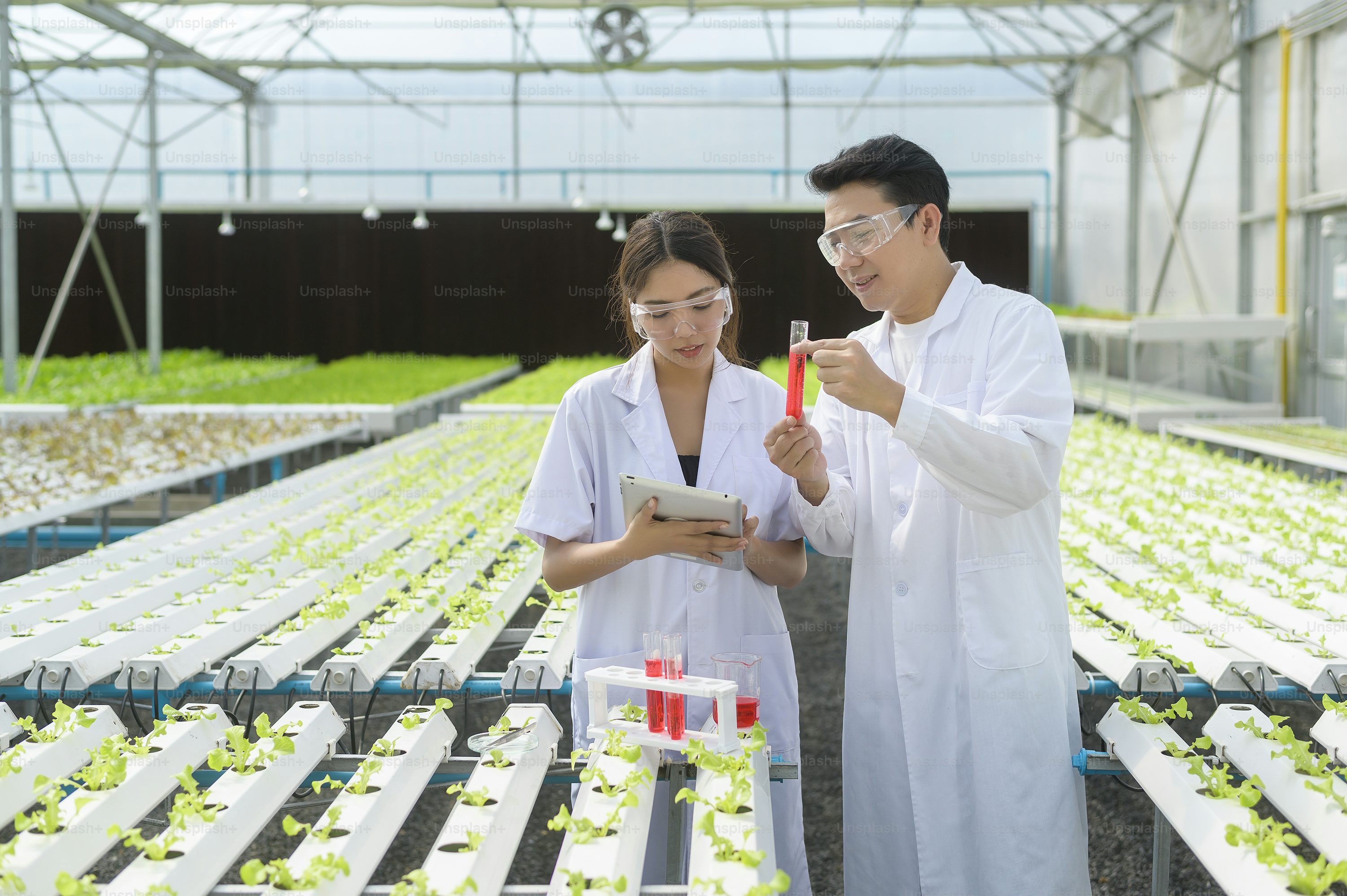 Food Scientist/Technologist